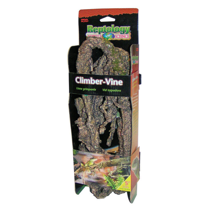 Penn Plax Reptile Accessories Kit & Reviews Wayfair Canada